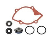 SPI Water Pump Repair Kit SM-10101