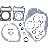 Vertex Complete Gasket With Oil Seals Kit 8110045
