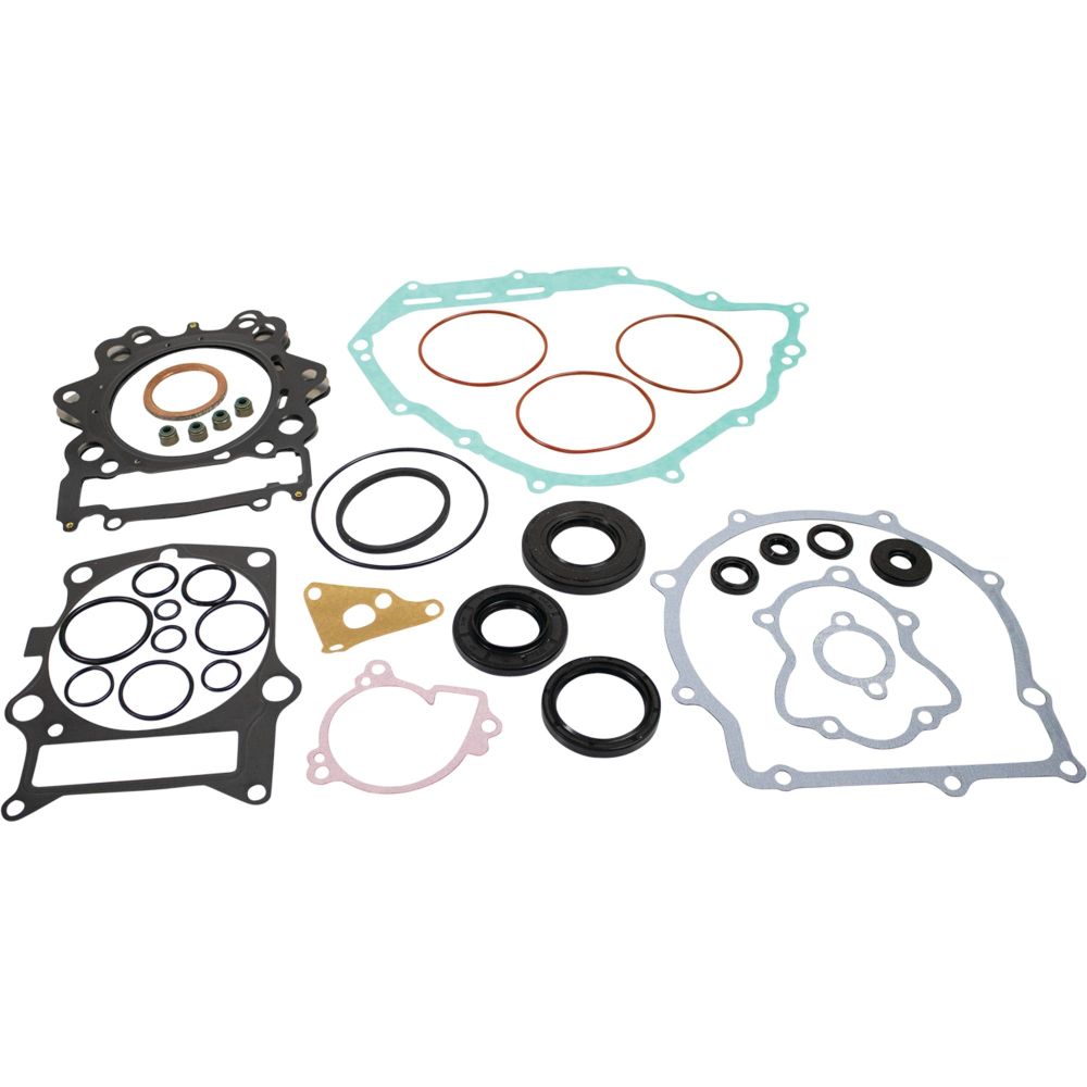 Vertex Complete Gasket Kit With Seals 8110048
