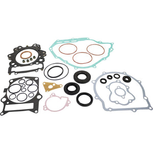 Vertex Complete Gasket Kit With Seals 8110048