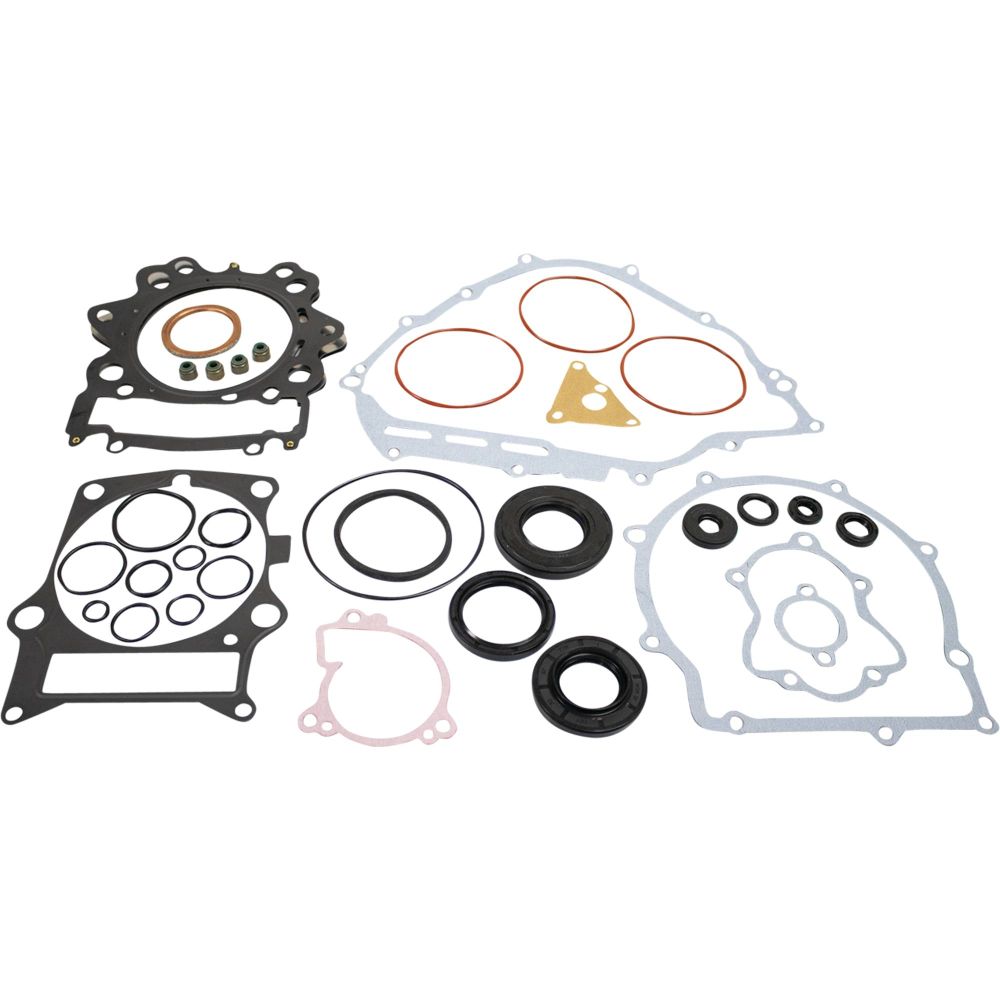Vertex Complete Gasket Kit With Seals 8110049