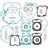 Vertex Complete Gasket With Oil Seals Kit 811957