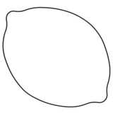 Vertex Outer Clutch Gasket Kit 817514