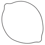 Vertex Outer Clutch Gasket Kit 817521
