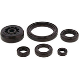 Vertex Engine Oil Seal Kit 822003