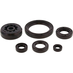 Vertex Engine Oil Seal Kit 822003