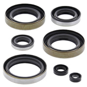 Vertex Oil Seal Kit 822102