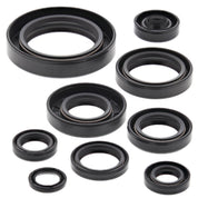 Vertex Oil Seal Kit 822109