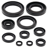 Vertex Oil Seal Kit 822114