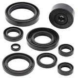 Vertex Oil Seal Kit 822119