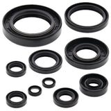 Vertex Oil Seal Kit 822122