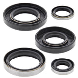 Vertex Oil Seal Kit 822129