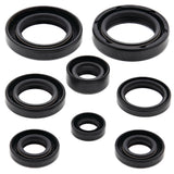 Vertex Oil Seal Kit 822130