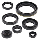 Vertex Oil Seal Kit 822134