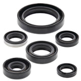 Vertex Oil Seal Kit 822137