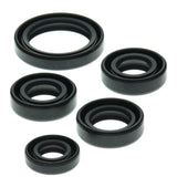Vertex Oil Seal Kit 822138