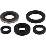 Vertex Oil Seal Kit 822139