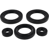 Vertex Oil Seal Kit 822142