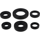 Vertex Oil Seal Kit 822146