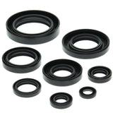 Vertex Oil Seal Kit 822147