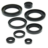 Vertex Oil Seal Kit 822149