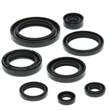 Vertex Oil Seal Kit 822157