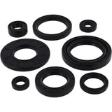 Vertex Oil Seal Kit 822158
