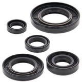 Vertex Oil Seal Kit 822165