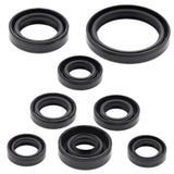 Vertex Oil Seal Kit 822167