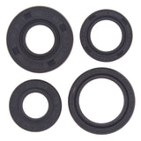Vertex Oil Seal Kit 822168