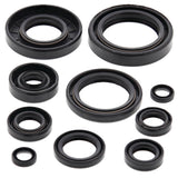 Vertex Oil Seal Kit 822172