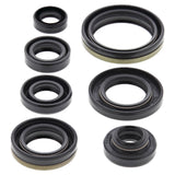 Vertex Oil Seal Kit 822176