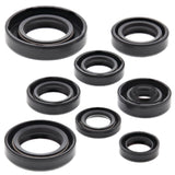 Vertex Oil Seal Kit 822181