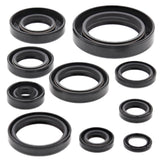 Vertex Oil Seal Kit 822182