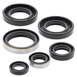 Vertex Oil Seal Kit 822185