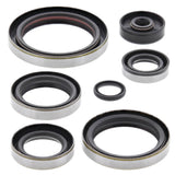 Vertex Oil Seal Kit 822190