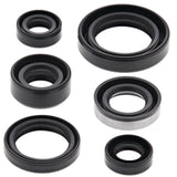 Vertex Oil Seal Kit 822194