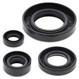 Vertex Oil Seal Kit 822195