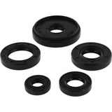 Vertex Oil Seal Kit 822196