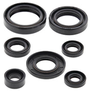 Vertex Oil Seal Kit 822197