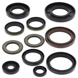 Vertex Oil Seal Kit 822202