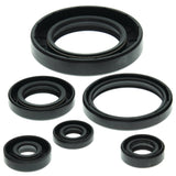 Vertex Oil Seal Kit 822204