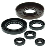 Vertex Oil Seal Kit 822209