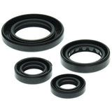Vertex Oil Seal Kit 822211