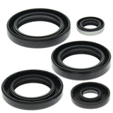 Vertex Oil Seal Kit 822213