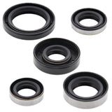 Vertex Oil Seal Kit 822216