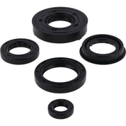 Vertex Oil Seal Kit 55109