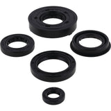 Vertex Oil Seal Kit 55116