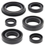 Vertex Oil Seal Kit 822220