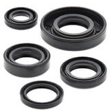 Vertex Oil Seal Kit 822222